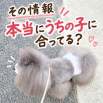 その情報、本当にうちの子に合ってる？