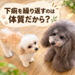 下痢を繰り返すのは体質だから？