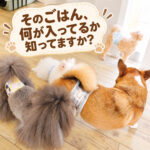 そのごはん、何が入ってるか知ってますか？