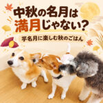 中秋の名月は満月じゃない？芋名月に楽しむ秋のごはん
