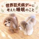 世界狂犬病デーに考えた睡眠のこと