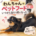 「わんちゃん＝ペットフード」いつから当たり前になった？