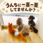 うんちに一喜一憂してませんか？