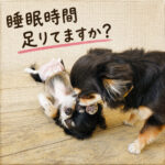 睡眠時間足りてますか？