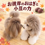 お彼岸のおはぎと小豆の力