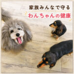 家族みんなで守るわんちゃんの健康