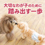大切なわが子のために踏み出す一歩