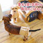 愛犬を想う気持ちを毎日のごはんに