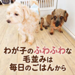 わが子のふわふわな毛並みは毎日のごはんから