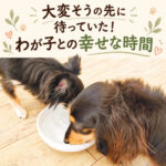 大変そうの先に待っていた！わが子との幸せな時間