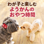 わが子と楽しむようかんのおやつ時間