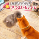 わが子と楽しむさつまいもレシピ