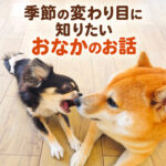 季節の変わり目に知りたいおなかのお話