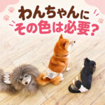 わんちゃんにその色は必要？