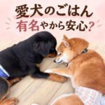 愛犬のごはん有名やから安心？