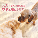 わんちゃんのために空気も気にかけて